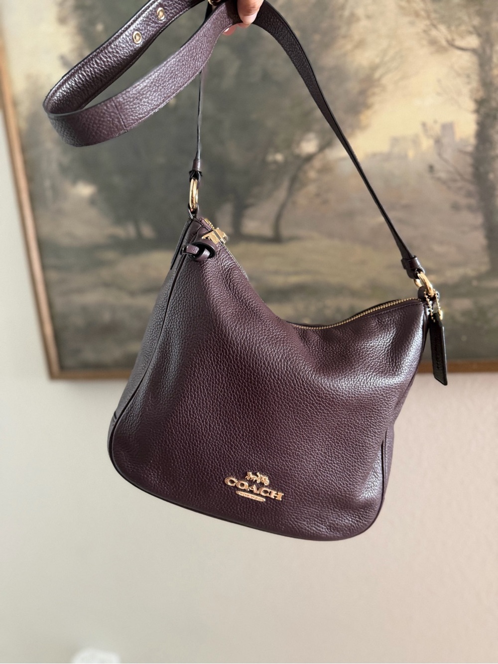 Coach Brown Pebble Leather Hobo Bag